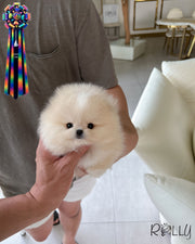 CHANEL - FEMALE (PURCHASED by ERICSSON)