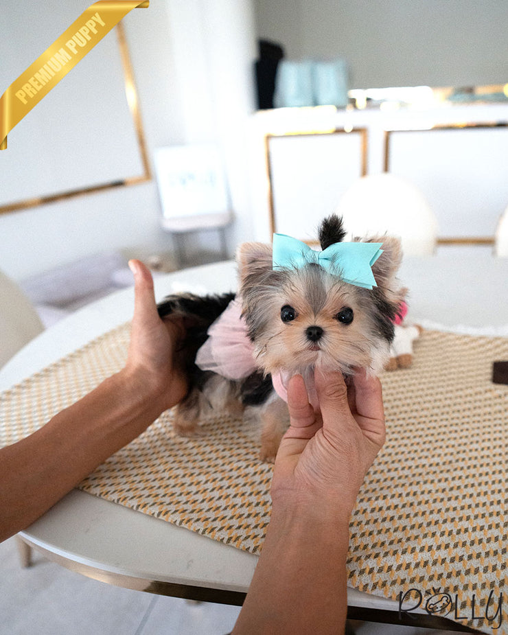 PEANUT - MALE (PURCHASED by CHEA)