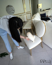 POLAR - MALE (PURCHASED by POLYAKOVA)