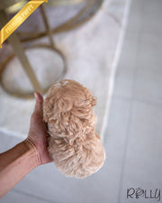 SOCKS - FEMALE (PURCHASED by MATTAR)
