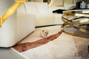 Rolly Teacup Puppies AURORA - FEMALE (PURCHASED by HAOMING).