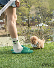 Rolly Teacup Puppies BIRKIN - FEMALE (PURCHASED by WILSON).