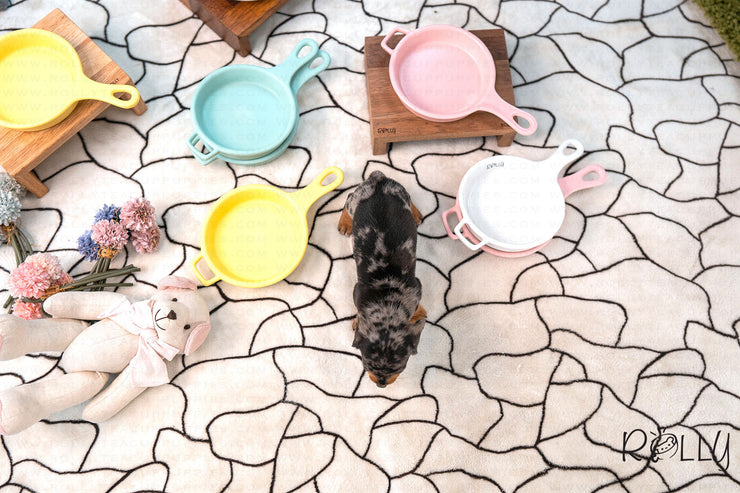 Rolly Teacup Puppies (PURCHASED by Dixon) FRANKIE - Dachshund. M.
