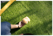 Rolly Teacup Puppies (Purchased by Mannix) LUNA - Pomeranian. F.