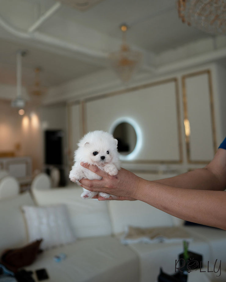 MARS - FEMALE (PURCHASED by CHIN)