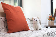 Rolly Teacup Puppies (SOLD to Monroy) Mochi - Shiba Inu. F.