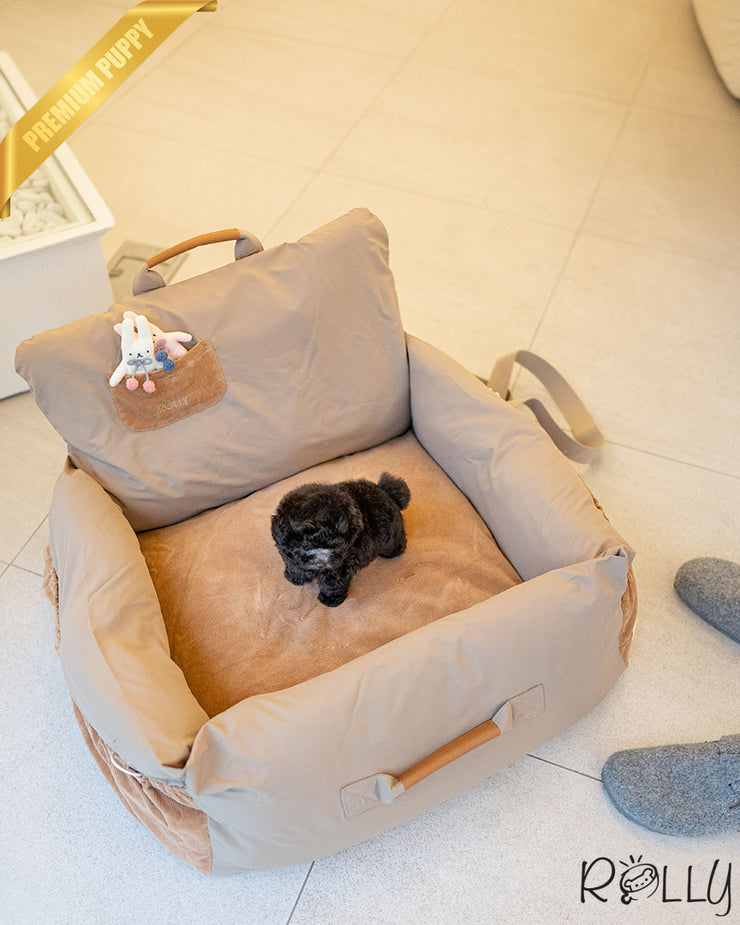Rolly Teacup Puppies PLATA - MALE (PURCHASED by ROTMAN).