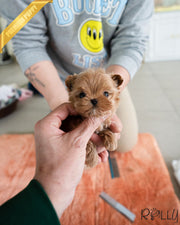 SABINE - FEMALE (PURCHASED by CHIU)