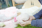 Rolly Teacup Puppies Penny - Pomeranian. F.